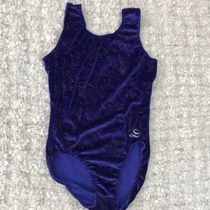Dreamlight beautiful velvet gymnastics leotard